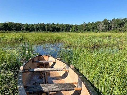 canoe in marsh