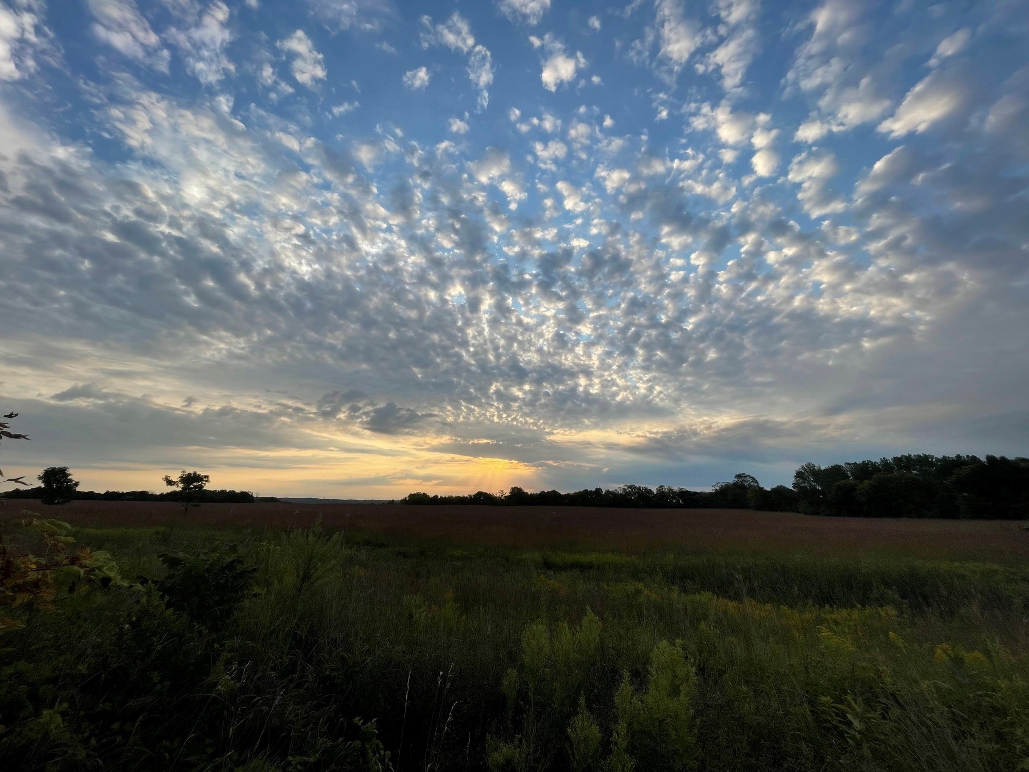 sunrise over prairie