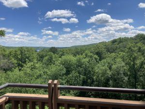 overlooking a forest