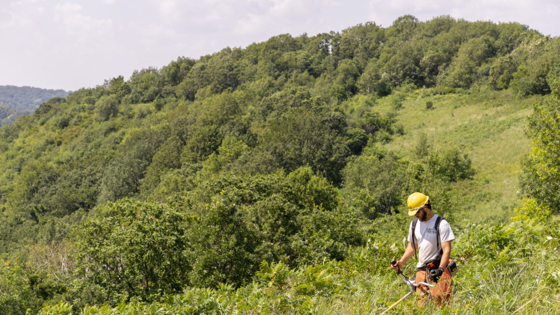 Member on bluff prairie using a brushsaw