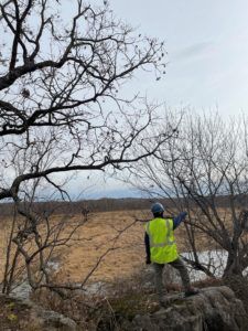 Person in safety vest in the woods