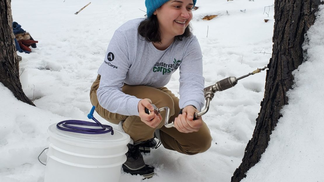 A person wearing a Corps shirt using a hand crank drill to drill into a tree