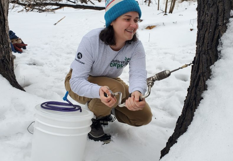 From Sap to Syrup: How we Make Maple Syrup