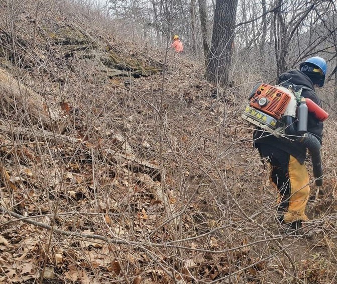 Someone using a leafblower in a forest