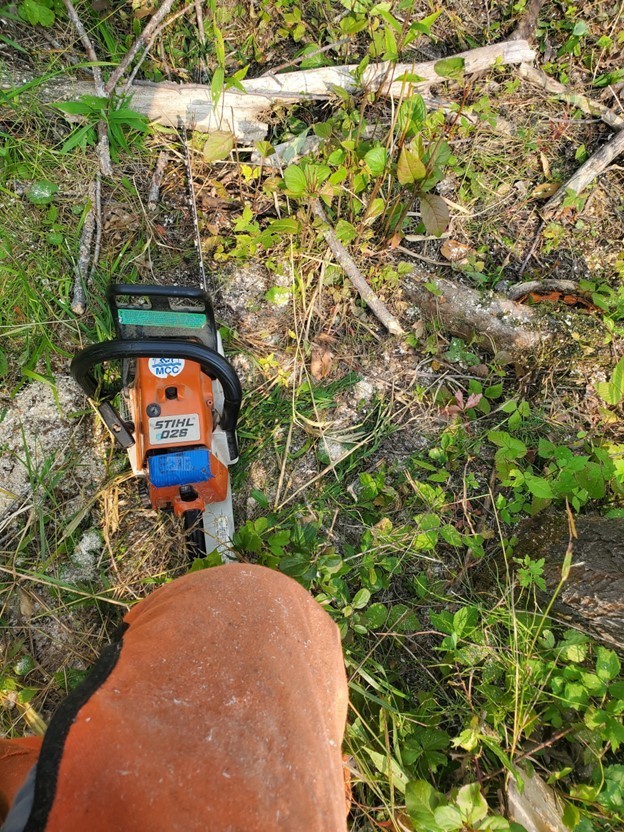 a chainsaw on the ground