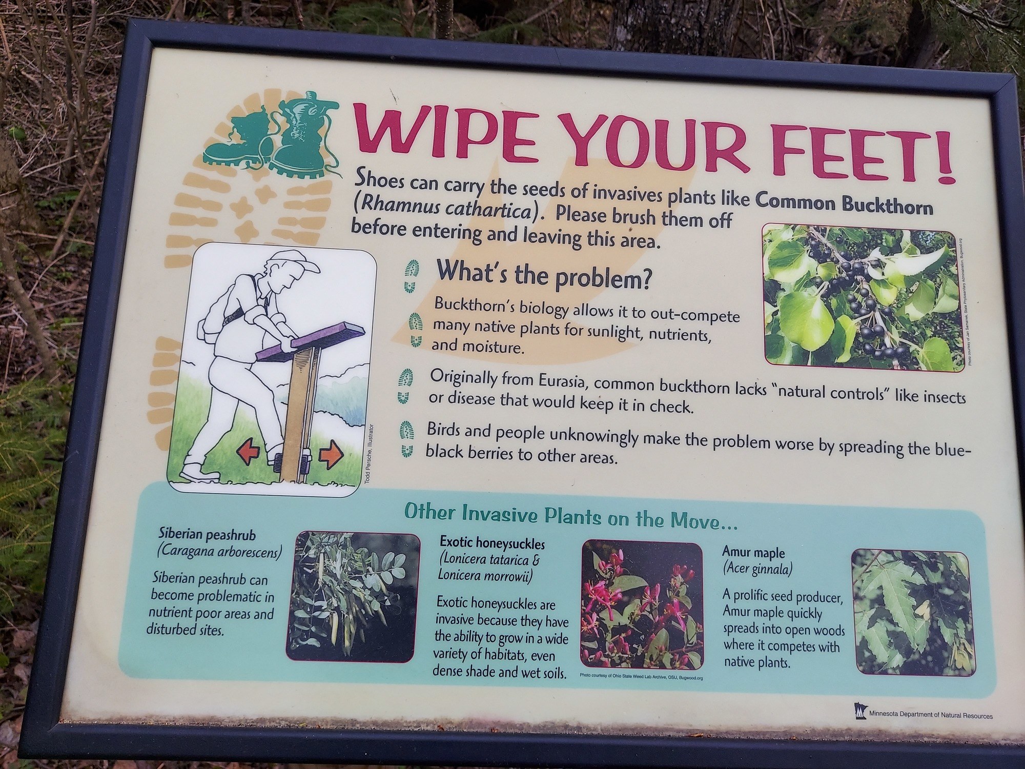 informational sign titled "Wipe your feet!"