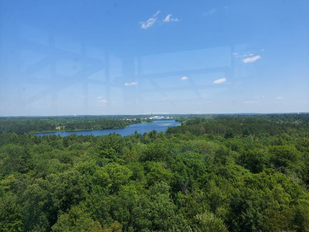View from the Fire Tower.