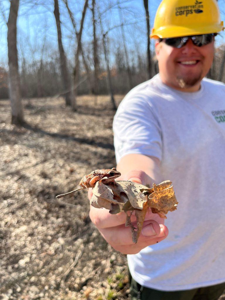 Person holding a frog