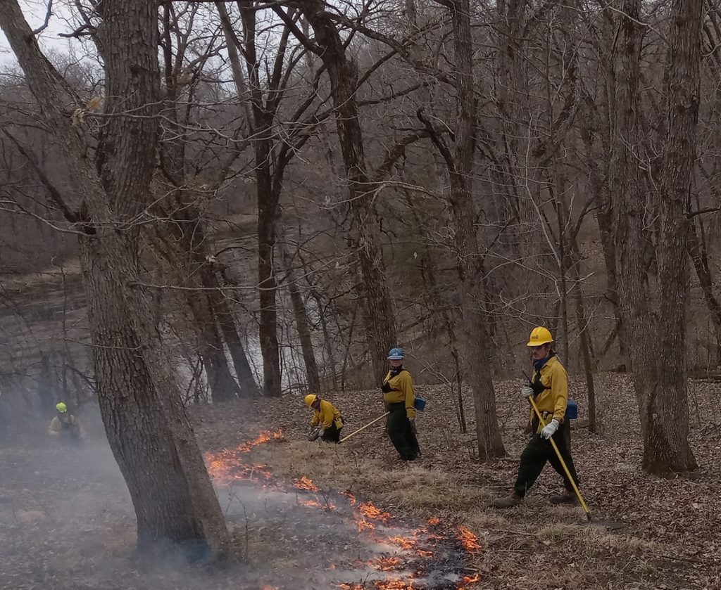 Prescribed Burning Conservation Corps Minnesota & Iowa