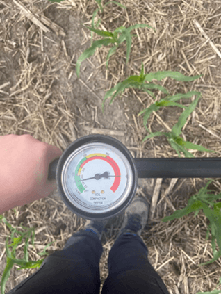 A pressure gauge