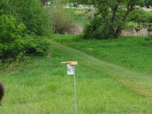 Monitoring a Bluebird Nestbox Trail – Conservation Corps Minnesota & Iowa