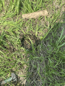 No water in a metal cylinder in a grassy field.