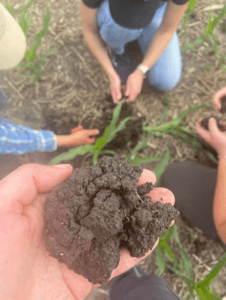 A hand holding a clump of soil