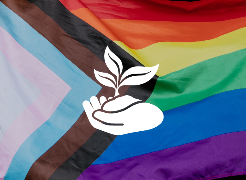 The CCMI Hand holding a plant icon with the rainbow LGBTQIA+ Pride flag featuring red, orange, yellow, green, blue, violet, black, brown, light blue, pink, and white in the background.