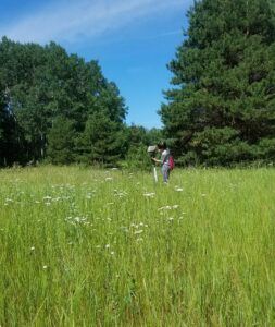 A person checking a bird box in a field.