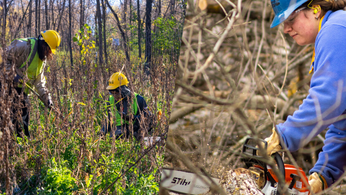 Two photos, on the left, two members on planting trees. On the right, a member is using a chainsaw.