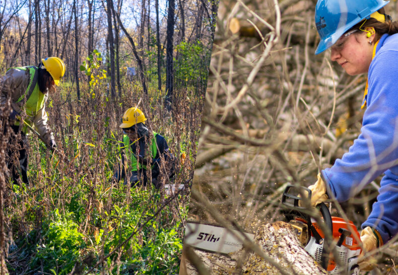 The Circle of Life: Cutting and Planting Trees in Conservation Corps