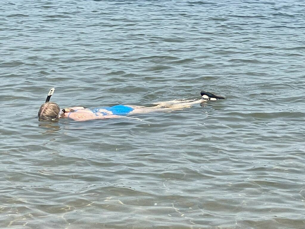 A person snorkeling in water.