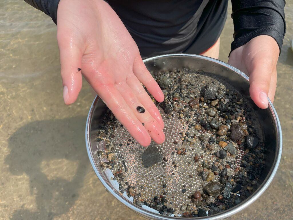 A hand holding a sifting tray and a small mussel