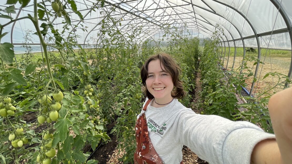 Kaden smiling with the tomato plants.