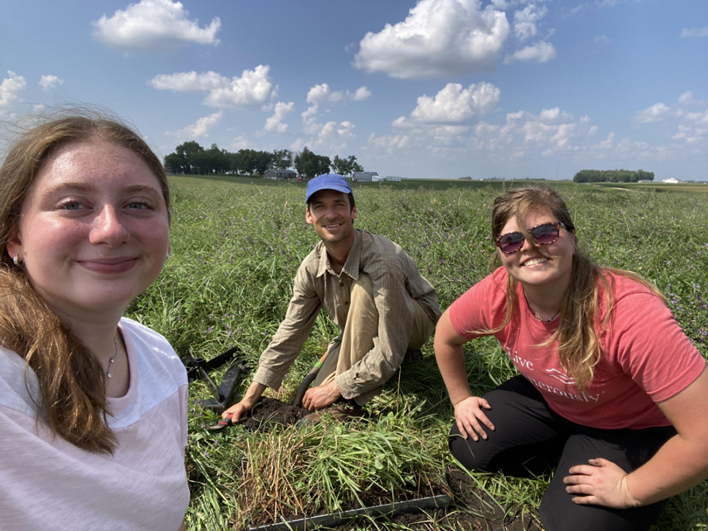 Three people sitting in a field.