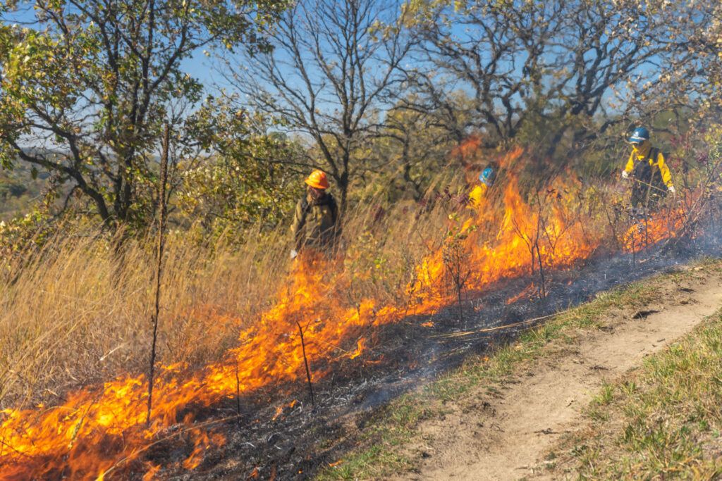 Fire fighters behind a line of fire in a praire.