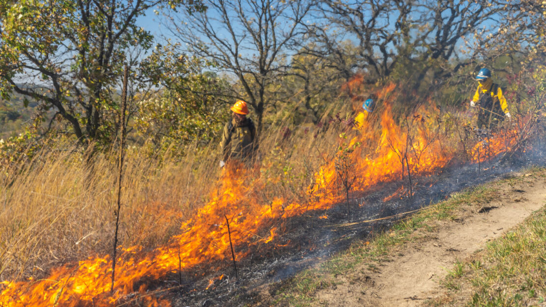 Fire fighters behind a line of fire in a praire.