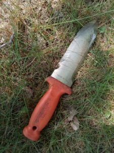 A knife laying in the grass