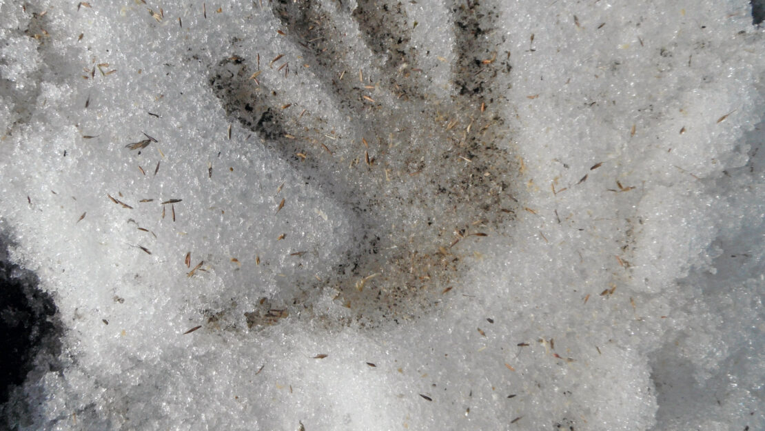 Hand print in snow with prairie seeds.