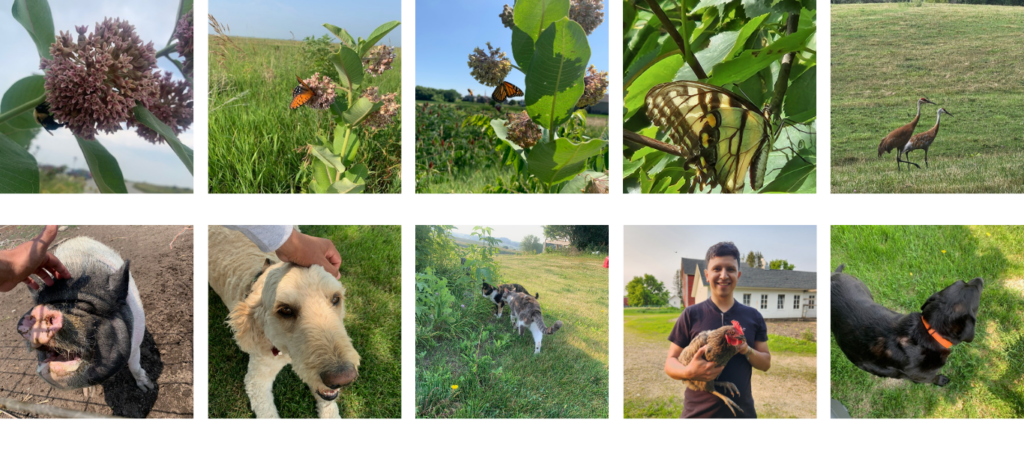 A grid of images showing fieldwork