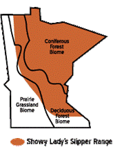 Map showing growing range of the showy ladys slipper in northeastern MN.