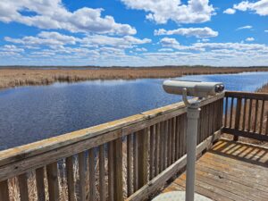A scope for birdwatching on a boardwalk overlooking a wetland