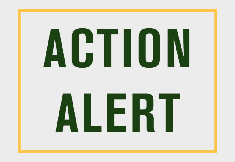 Action Alert: Advocate for AmeriCorps funding