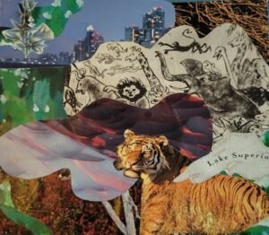 Collage art including a map of lake superior, a tiger, a city skyline.