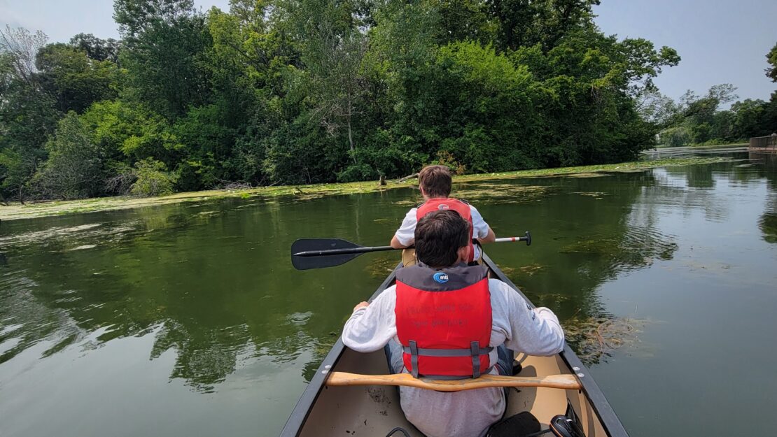 People canoeing in a river.