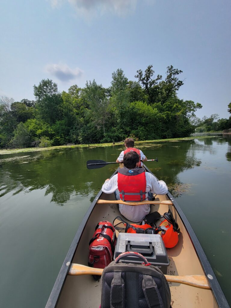 People canoeing in a river.