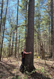 A person hugging a tree.