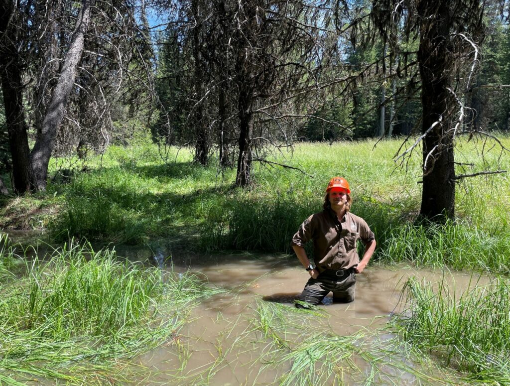 A person in waders in a wetland.