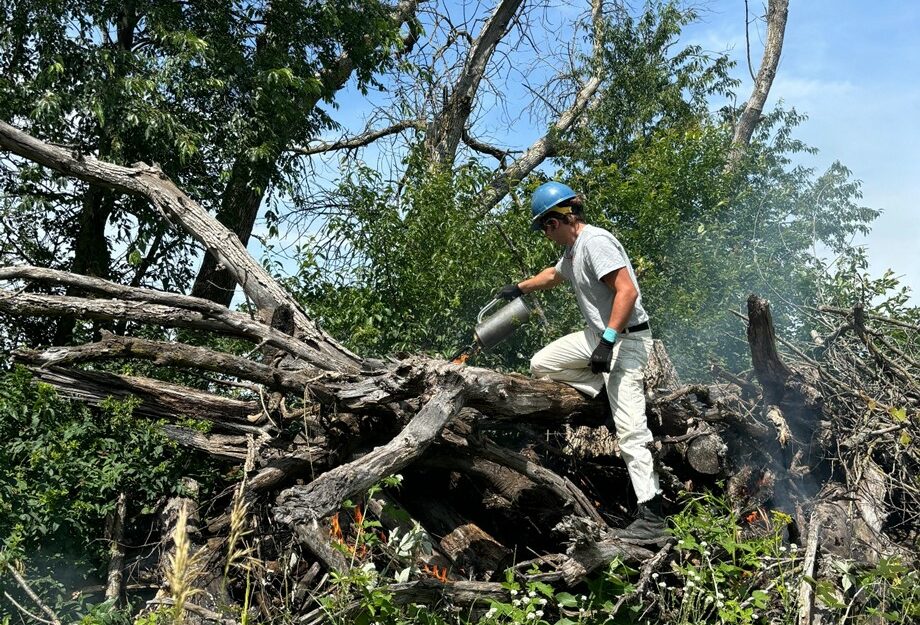 A person lights a burn pile.