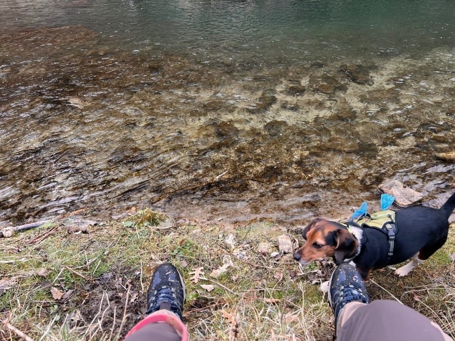 Photo of feet and small dog at rivers edge from POV.