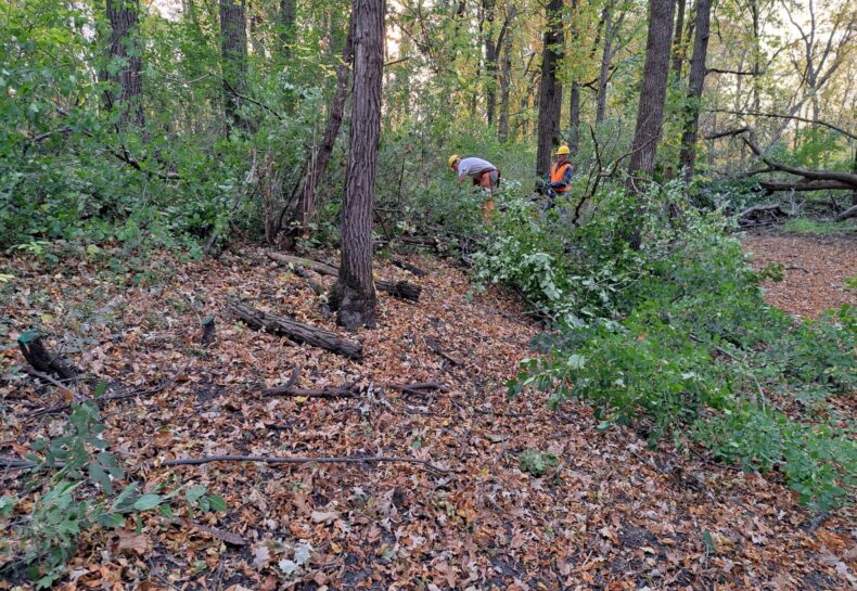 Buckthorn Battle at the Pennington County Sportsmen’s Club