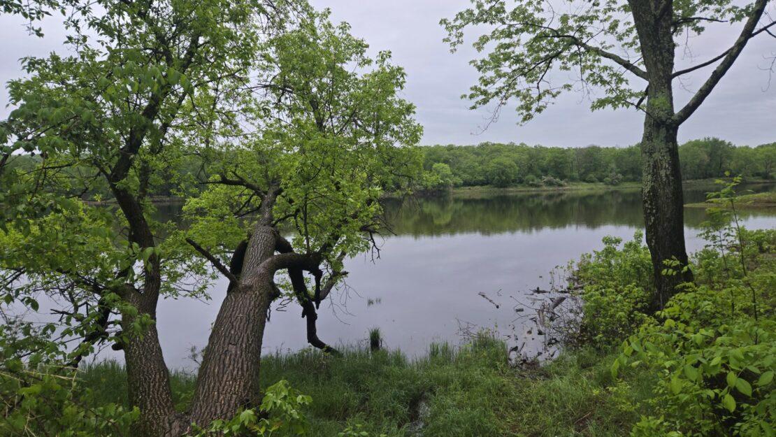 View of river