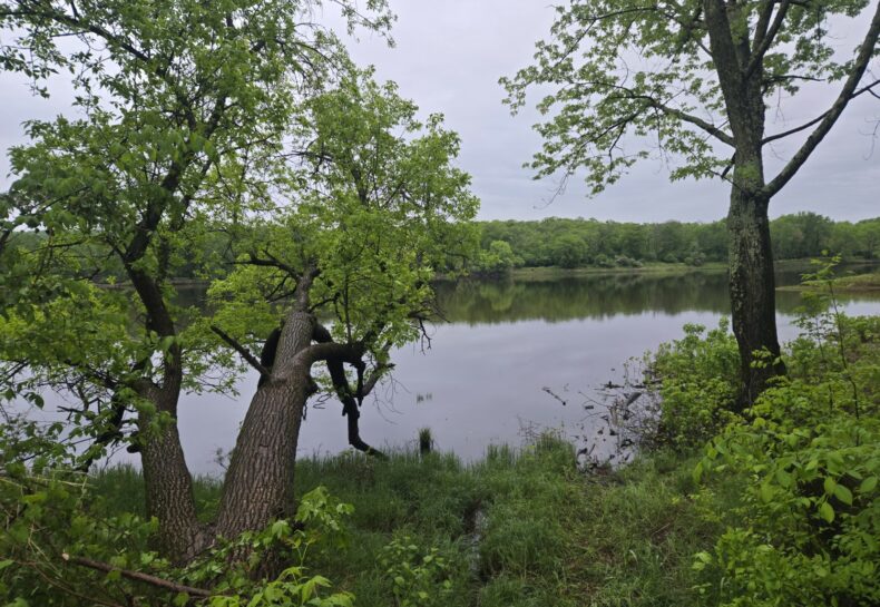 Natural Areas