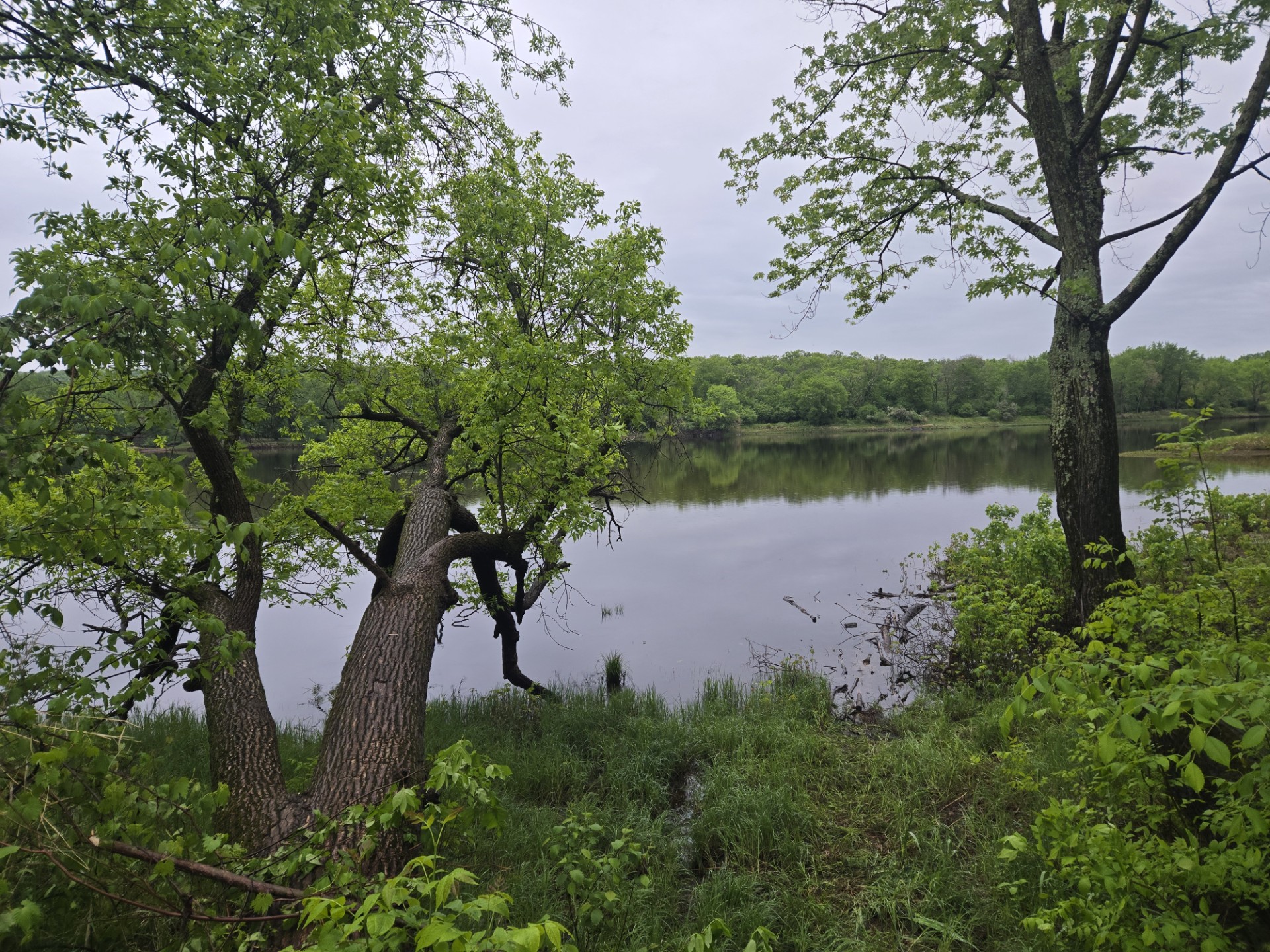 View of river