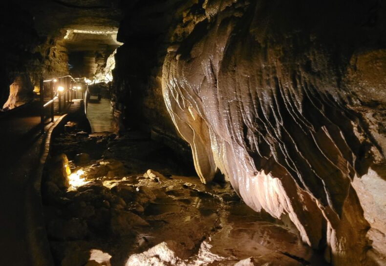 Forestville Mystery Cave