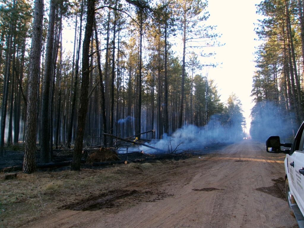 Smoke across a road in a forest.