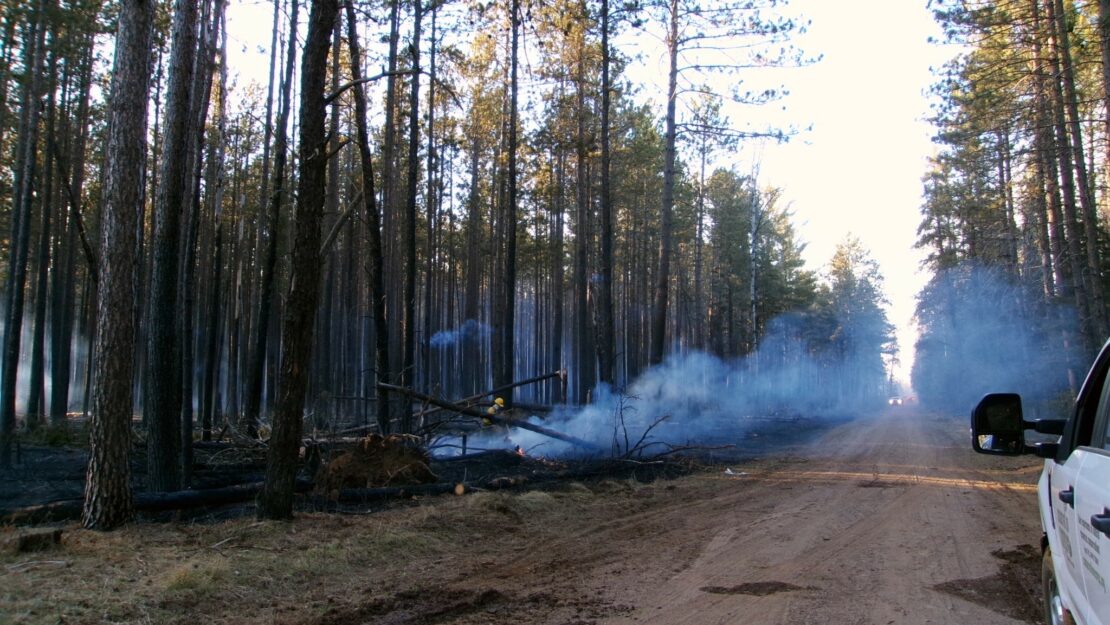 Smoke across a road in a forest.