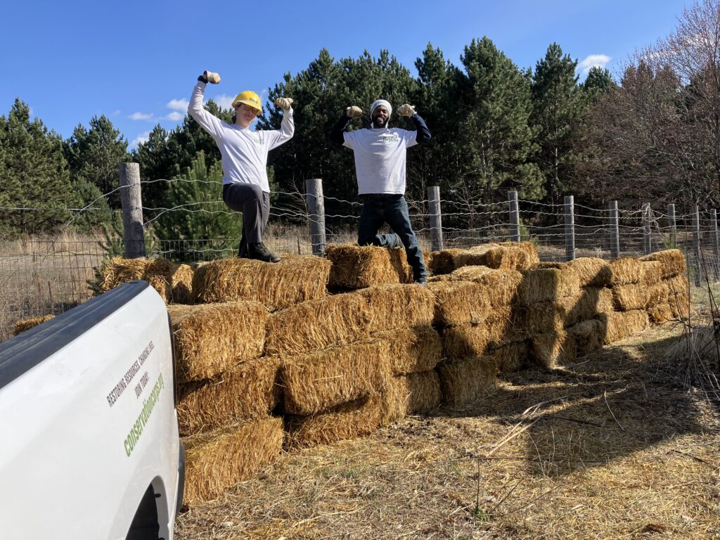 People flexing on haybales