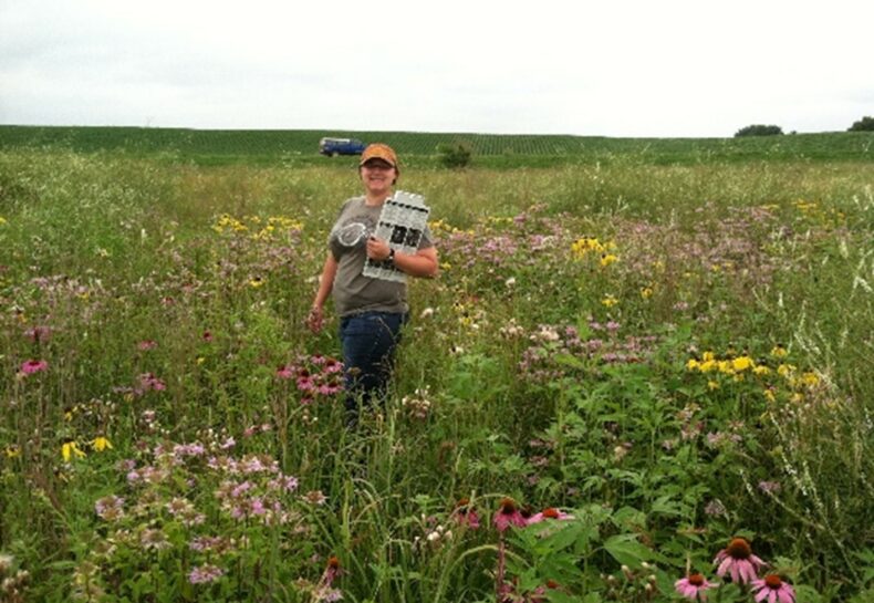 Uncovering Conservation Careers: Conservation Technician