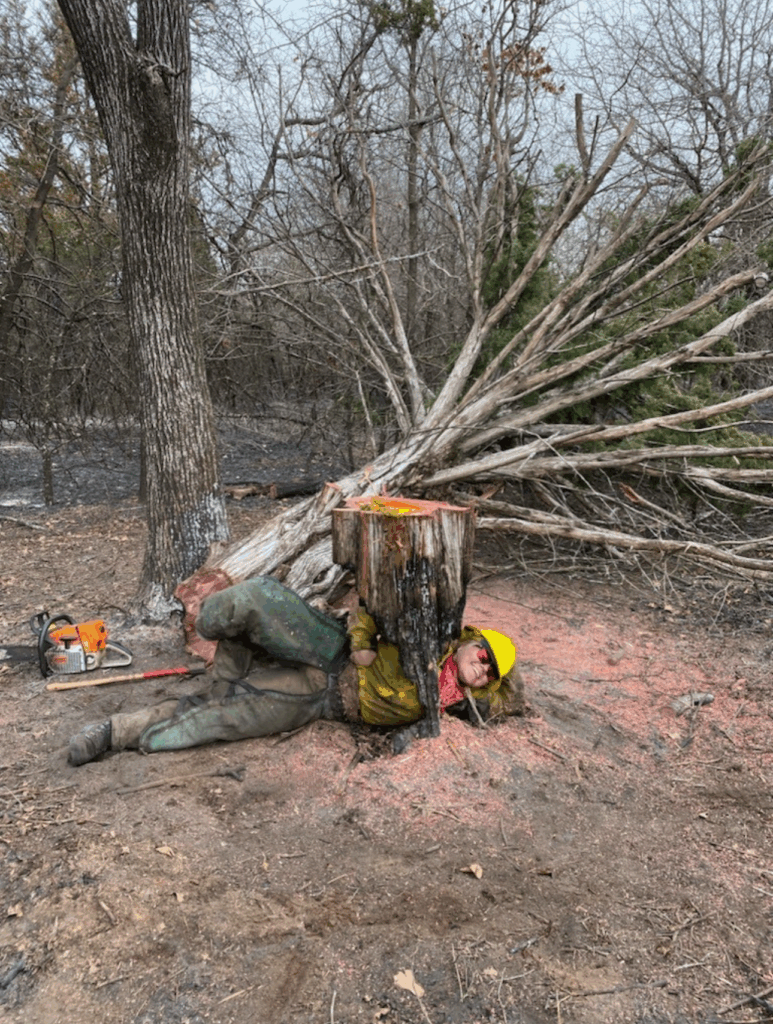 A person in fire gear posing in front of a downed tree.